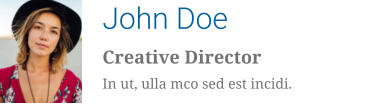 John Doe Creative Director In ut, ulla mco sed est incidi.