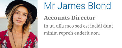 Mr James Blond Accounts Director In ut, ulla mco sed est incidi dunt minim repreh enderit non.