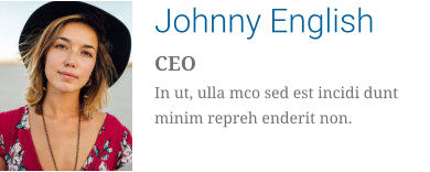 Johnny English CEO In ut, ulla mco sed est incidi dunt minim repreh enderit non.